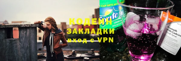 индика Краснотурьинск