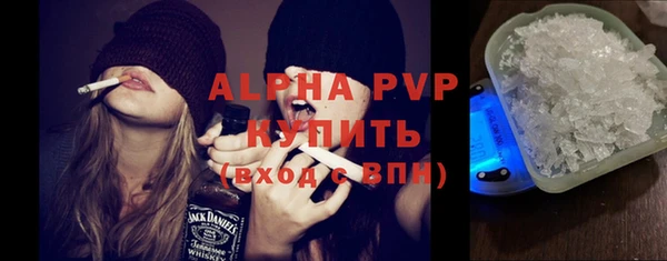 индика Краснотурьинск