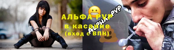 дживик Краснослободск