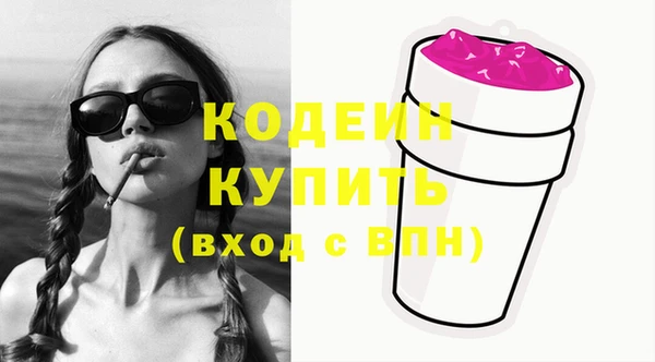 дживик Краснослободск