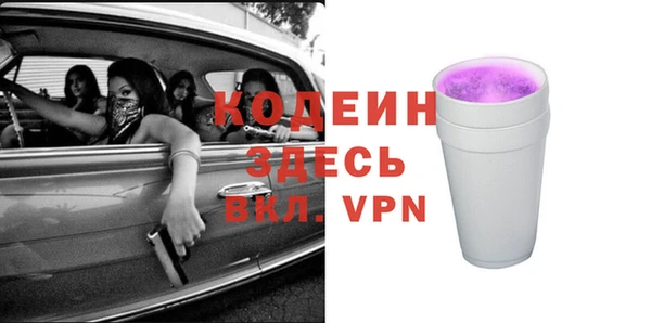 индика Краснотурьинск