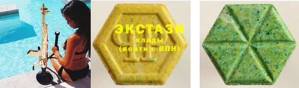 индика Краснотурьинск