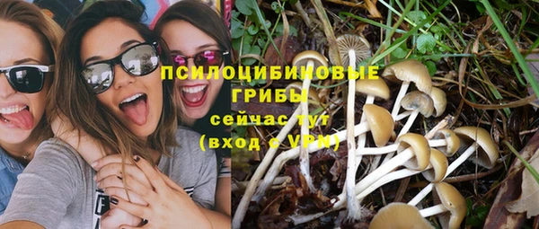 индика Краснотурьинск