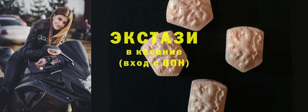 дживик Краснослободск
