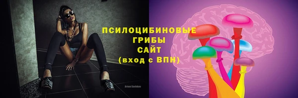 дживик Краснослободск