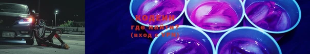 индика Краснотурьинск