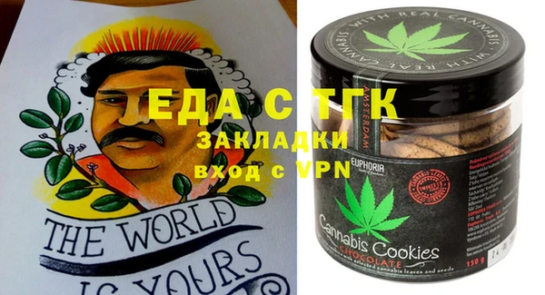 индика Краснотурьинск