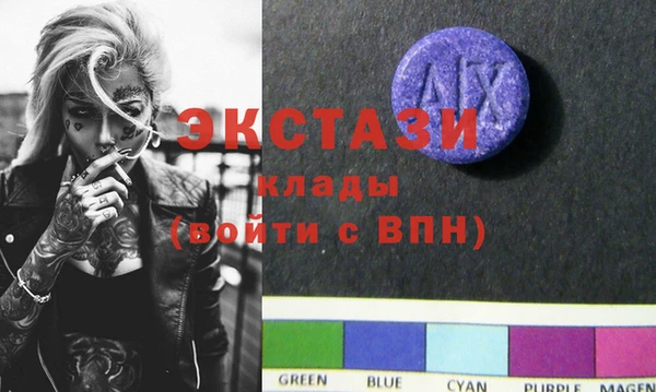 дживик Краснослободск