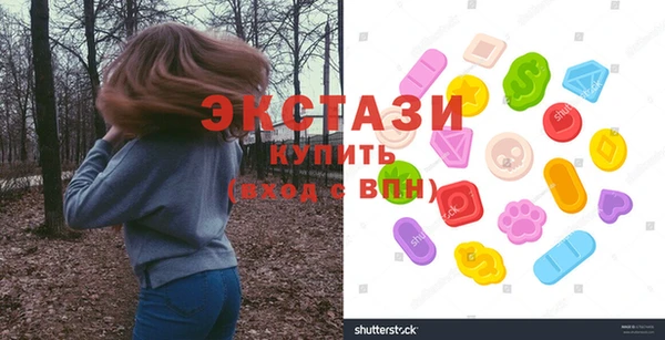 дживик Краснослободск